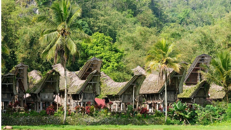 kopi Toraja salah satu jenis kopi populer di Nusantara