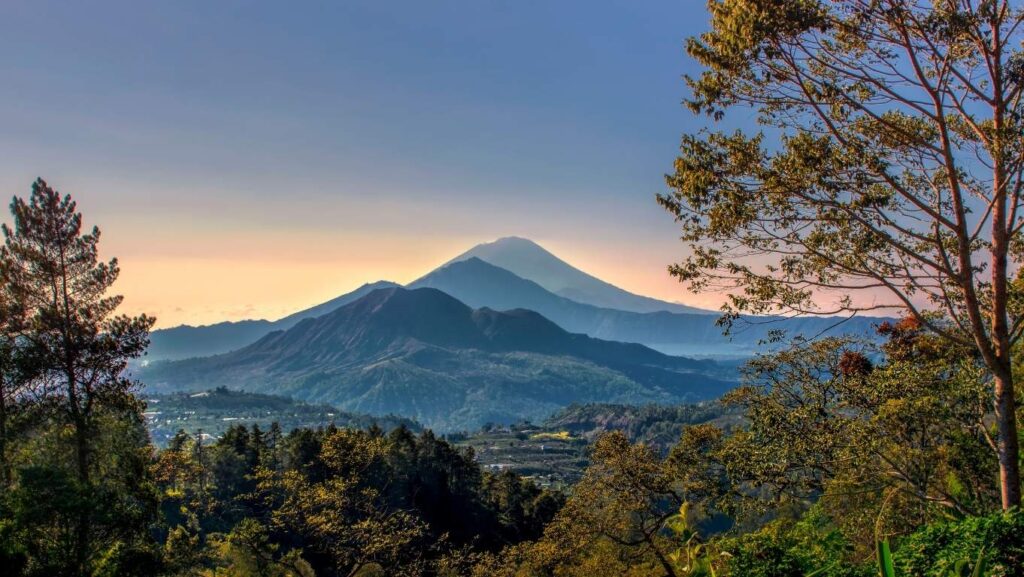 karakter kopi kintamani bali