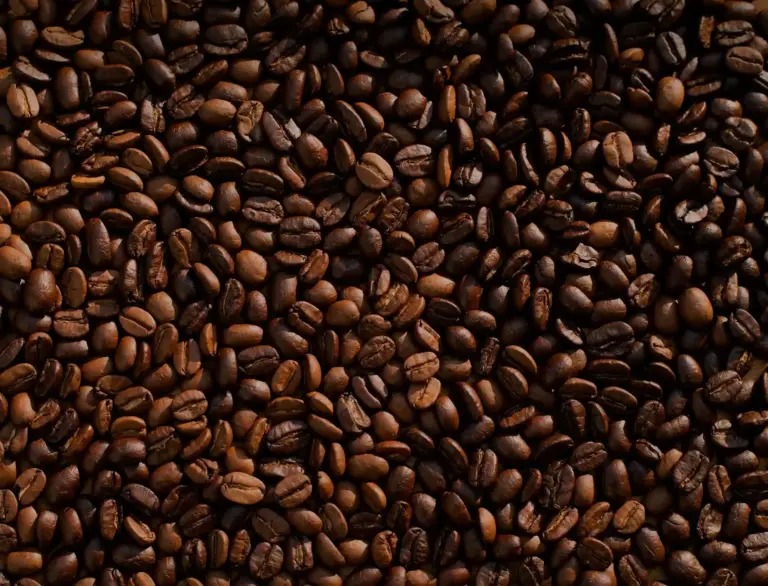 Kopi Arabika